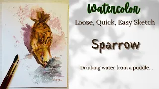 Watercolor Painting | Sparrow Drinking Water From Puddle | Loose, quick sketch