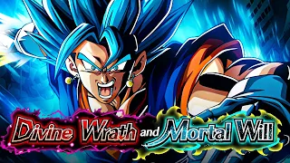 NO ITEM RUN! DIVINE WRATH & MORTAL WILL STAGE 7 VS. VEGITO BLUE! (DBZ: Dokkan Battle)