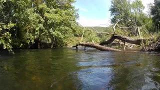 Tour mit dem Kanu auf dem Fluss Rur von Heimbach - Zerkall. Kanufahrt  bei strahlendem Sonnenschein