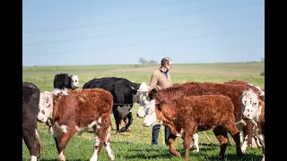 Webinar: How adaptive grazing impacts livestock health and behaviour