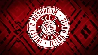 JetLag Music, Infected Mushroom, HOT-Q & WhyNot - I Wish