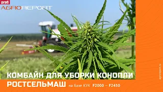 Ростсельмаш | Комбайн для уборки конопли на основе кормоуборочного комбайна из серии F2000 — F2450.