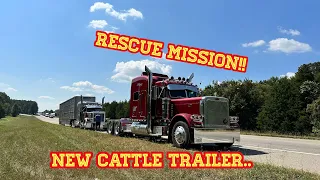 A Rescue Mission Lands Us A Triple Axle Cattle Trailer.. ITS INSANELY NICE!!