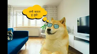 Parent exposed Reality of WhiteHat Junior | Funny video | Perfect doge