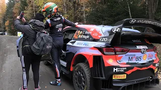 Craig Breen  -  Rest in Peace