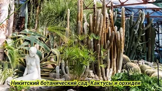 Никитский ботанический сад - КАКТУСЫ и орхидеи