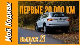 Первые 20 тыс. км на Skoda Kodiaq TSI  2.0 180 л.с