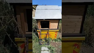 Tiny House in a Dumpster!