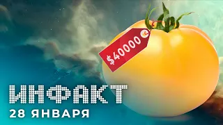 Новый герой Apex Legends, Корабль за $40000 в EVE Online, анонс Torchlight III, Ghost in the Shell…