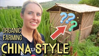 I am obsessed with this ancient Chinese farming method 🤩 原来中国的有机农业这么好玩 🤣