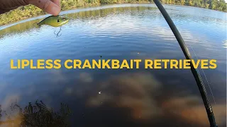 Lipless Crankbait Retrieves