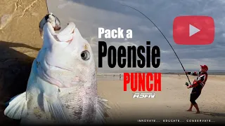 The fish on EVERYONES Bucketlist Black Mussel Cracker | PACK A POENSIE PUNCH!!! ​⁠| ASFN Rock & Surf