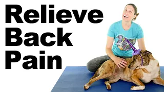 10 Best Back Pain Relief Exercises & Stretches (Basic) - Ask Doctor Jo