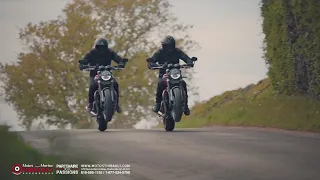 Triumph Speed Twin 2022