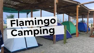 Flamingo Camping | Muğla Kamp Alanları | Geziyoo.co #kamp [AÇIKLAMAYA BAK ]