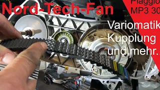 Variomatik zerlegen Riemen Kupplung Gewichte wechsel Scooter Piaggio MP3 300 Roller 2019 Clutch disa