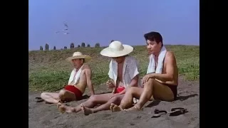 Quiet Cinematography- Floating Weeds (1959)
