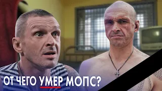 Умер МОПС ДЯДЯ ПЕС | Что случилось?