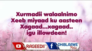 Maxamuud M Xasan Kabanle Heestii | Xaajaba Layaab Leh | Lyrics