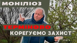 Моніліоз | ☝🏻 Теміново корегуємо захист 🎯!