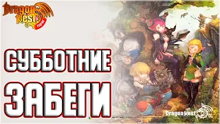 Морозные забеги по PvE [New Dragon Nest]