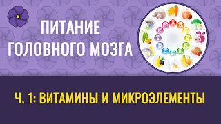 Питание головного мозга ч. 1: витамины, микроэлементы