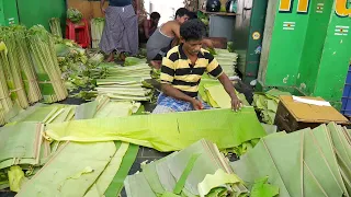 Hand Made Banana leaf Plate Cutting for Healthy Lifestyle