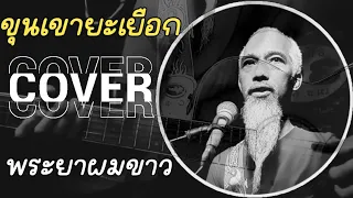 ขุนเขายะเยือก-นิด ลายเสือ acoustic live #cover #phraya_music #พระยาผมขาว