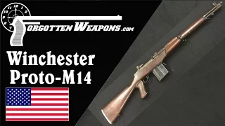 Winchester Proto-M14 Rifle