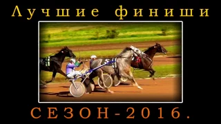 ЦМИ.Ипподром.Итоги сезона 2016.Кто же лучший наездник.