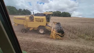 Colhendo nossa Soja Fibra e as Produção 🥲