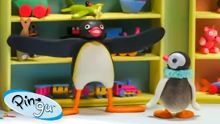 Playing with Pingu 🐧 | Pingu - Official Channel | Cartoons For Kids