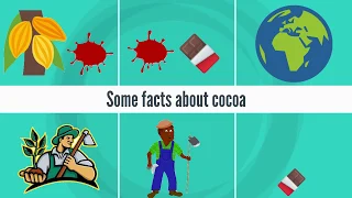 Cocoa Farming & Industry 1  Some Facts about Cocoa