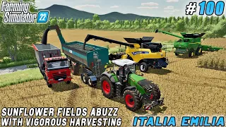 Investing in the Last Farmstead, Sunflower Crop Collection | Italian Farm | FS 22 | Timelapse #100