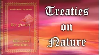 (23.Flash)Treatise  on Nature )ngilizce Risale-i Nur (Tabiat Risalesi)