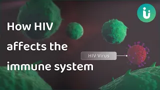 HIV and AIDS: How HIV affects the immune system and causes AIDS. A 3D Medical Animation