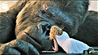 La mort de King Kong | King Kong