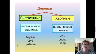 Какие бывают растения окружающий мир 2 класс