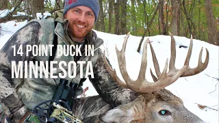 14 point buck!!! | Minnesota Bow Hunting | The Story of Zeus