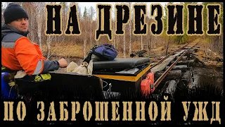 НА ДРЕЗИНЕ ПО ЗАБЫТОЙ УЗКОКОЛЕЙКЕ В СИБИРСКОЙ ТАЙГЕ / ПОЛОМКА В ЛЕСУ!