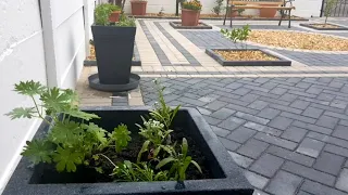 Planting my patio containers with Geraniums, Petunias, Alyssum and Lobelias