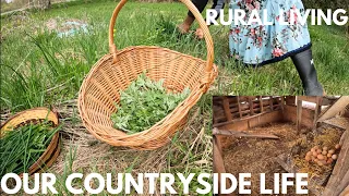 A simple life on our countryside homestead | gathering spring greens and wild edibles| lots of eggs