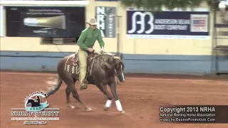 In Like Flinn 2013 Futurity