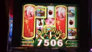 Wizard of Oz Ruby Slippers Slot Machine Bonus - Glinda Bubbles - Big Win!