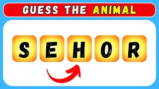 Can You Guess the Animal by Scrambled Name? | Easy, Medium, Hard difficulty levels!