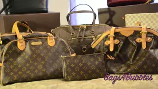 2013 Louis Vuitton Purse Collection