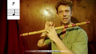 Western Music and Notation on the Bansuri