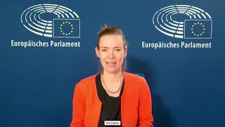 Rede zum EU-Trade Policy Review - Anna Cavazzini MdEP