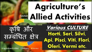 Agriculture's  Allied Sector कृषि और सम्बंधित क्षेत्र/ Horticulture, Seri, Silvi, Api, Pisci culture