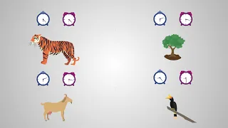 How did species evolve?